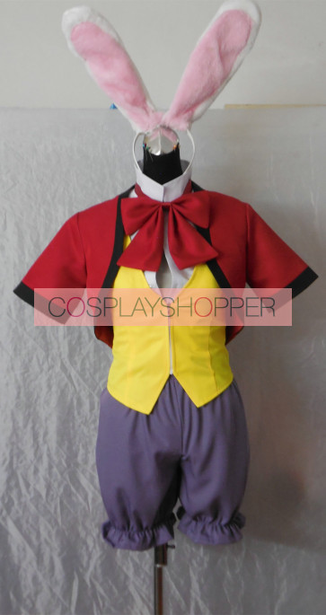 Dagashi Kashi Hotaru Shidare Bunny Suit Cosplay Costume