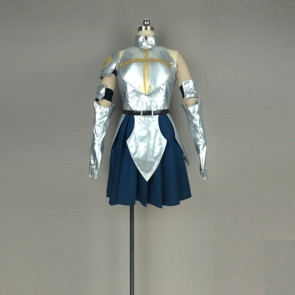 Fairy Tail: Dragon Cry Erza Scarlet Cosplay Costume