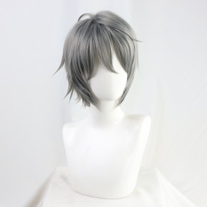 Gray 30cm Promise of Wizard Owen Northern Country Cosplay Wig