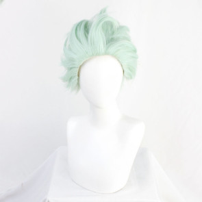 Green 30cm Disney: Twisted-Wonderland Sebek Zigvolt Cosplay Wig
