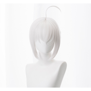 Silver 30cm Fate/Grand Order Gray Cosplay Wig