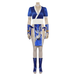Dead or Alive Kasumi Cosplay Costume
