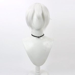 White 30cm Kamisama Kiss Tomoe Cosplay Wig