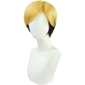 30cm Attack on Titan Erwin Smith Cosplay Wig