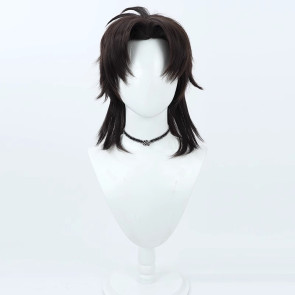 Brown 35cm Fate/Zero Kirei Kotomine Cosplay Wig