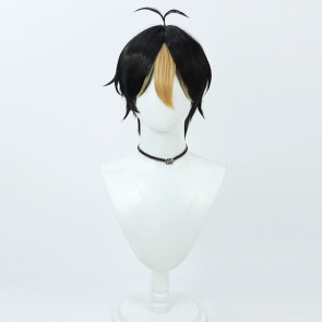 30cm Haikyuu!!! Yu Nishinoya Cosplay Wig