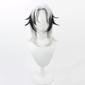 35cm Path to Nowhere Levy Cosplay Wig