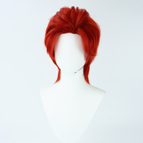 Red 35cm One Piece Shanks Cosplay Wig