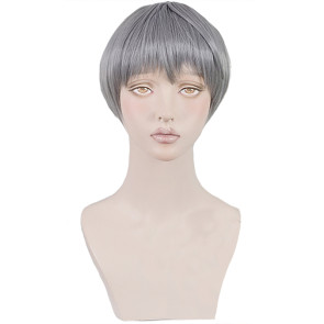 Grey 30cm Free! - Dive to the Future Aiichiro Nitori Cosplay Wig