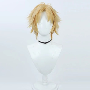 Gold 30cm Final Fantasy X Tidus Cosplay Wig