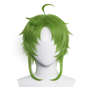 Green 35cm Mushoku Tensei Sylphiette Greyrat Cosplay Wig