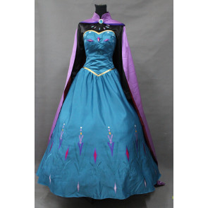 Frozen Queen Elsa Dress Cosplay Costume