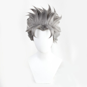 Grey 30cm JoJo's Bizarre Adventure Koichi Hirose Cosplay Wig