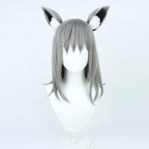 Gray 40cm Blue Archive Sunaookami Shiroko Cosplay Wig