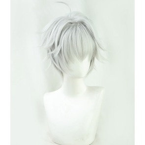 Silver 30cm The World's Finest Assassin Gets Reincarnated in Another World as an Aristocrat Lugh Tuatha Dé Cosplay Wig