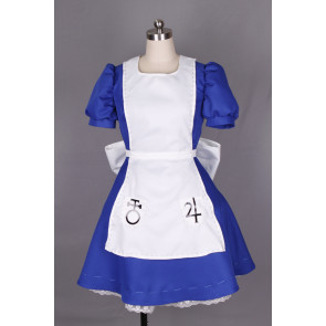 Alice: Madness Returns Alice Cosplay Costume
