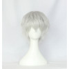 White 30cm Touken Ranbu Nakigitsune Cosplay Wig