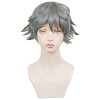 Grey 30cm Monogatari Sodachi Oikura Cosplay Wig