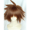 Brown 30cm Kingdom Hearts III Sora Cosplay Wig