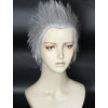 Silver 30cm Devil May Cry 5 Vergil Cosplay Wig