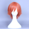 Orange 35cm Love Live! Rin Hoshizora Male Version Cosplay Wig