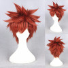 Red 30cm Fate/stay night Shiro Emiya Cosplay Wig