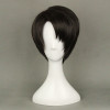 Black 35cm Attack On Titan Levi Ackerman (Rivaille) Cosplay Wig
