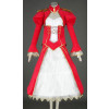 Fate Stay Night Red Saber Swordsman Cosplay Dress