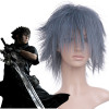 Gray 35cm Final Final Fantasy Versus XIII 13 Noctis Lucis Caelum Cosplay Wig