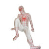 White Lycra Spandex Spiderman Zentai Suit With Red Spider